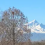 Ca' Del Riccio 아파트 브라